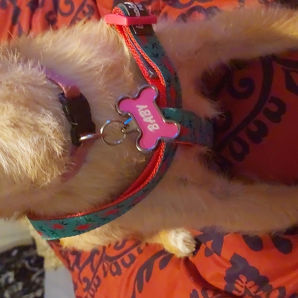 Dog Harness - Picture 4 of 5